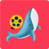 鲸鱼影视最新版本app