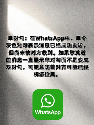 whatsapp中文版2023