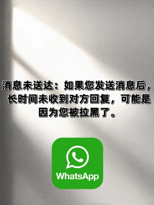 whatsapp中文版2023