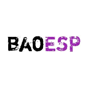 baoesp2.2.7破解无需卡密版